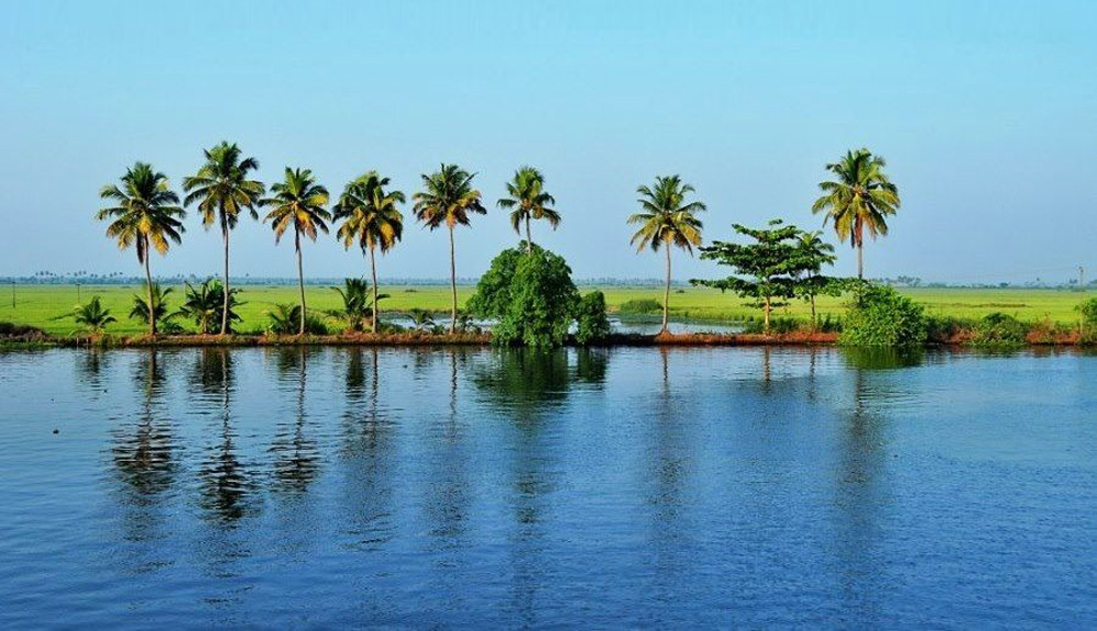hotels near alappuzha bus stand