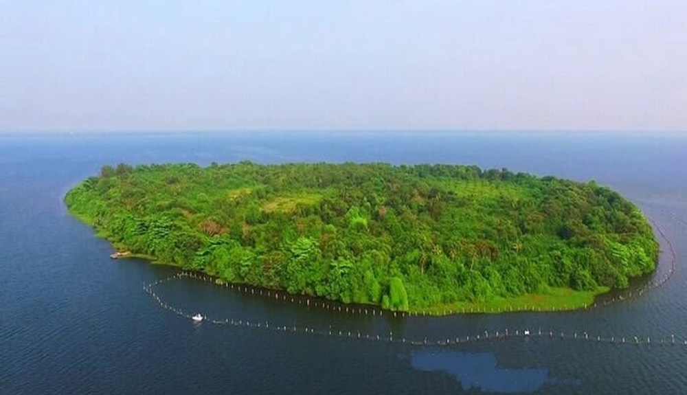 hotels near alappuzha beach