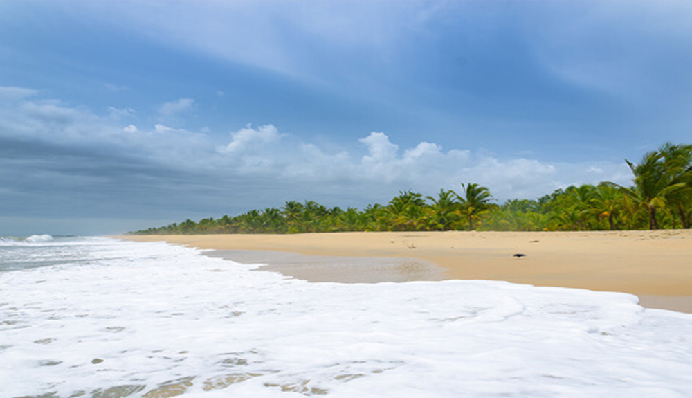list of hotels in alappuzha